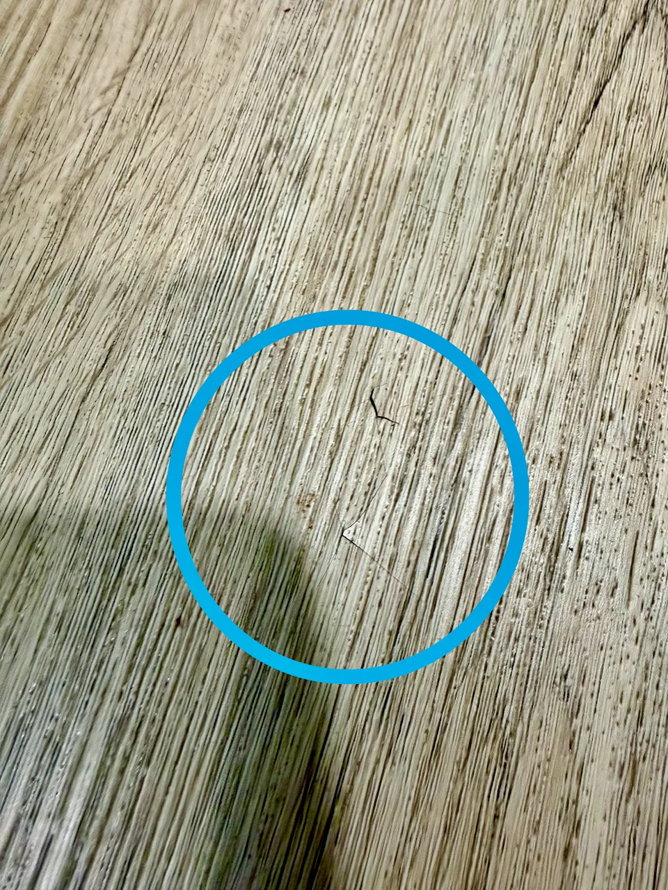 Additional damage showing raised ridge in flooring